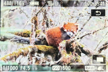 Labahe Nature Reserve