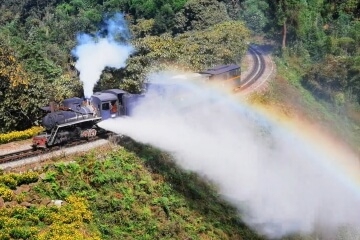 Jiayang Steam Train