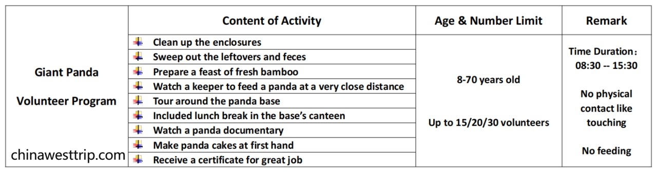 Panda Volunteer.jpg